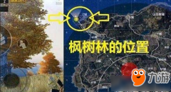 和平精英透视辅助《绝地求生和平精英》绝地海